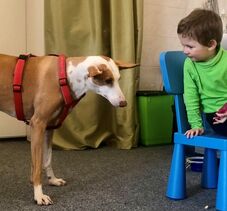 275589673_4833682630001353_6077188273079696637_n