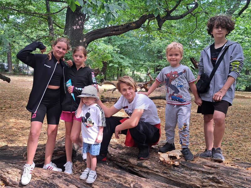 Komu letos pomůže sbírka Krabice online za lepší prázdniny?